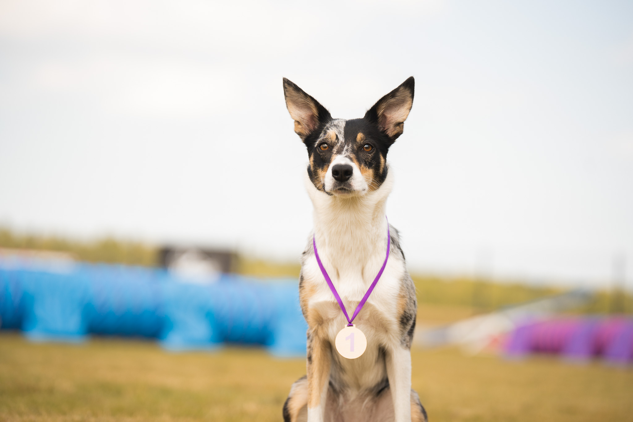 Relacja – II Zawody treningowe Hazy Hills „o pęto swojskiej”